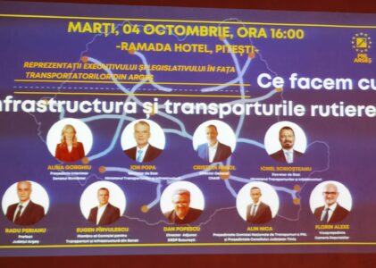 Alina Gorghiu semnalizează infrastructura liberală…